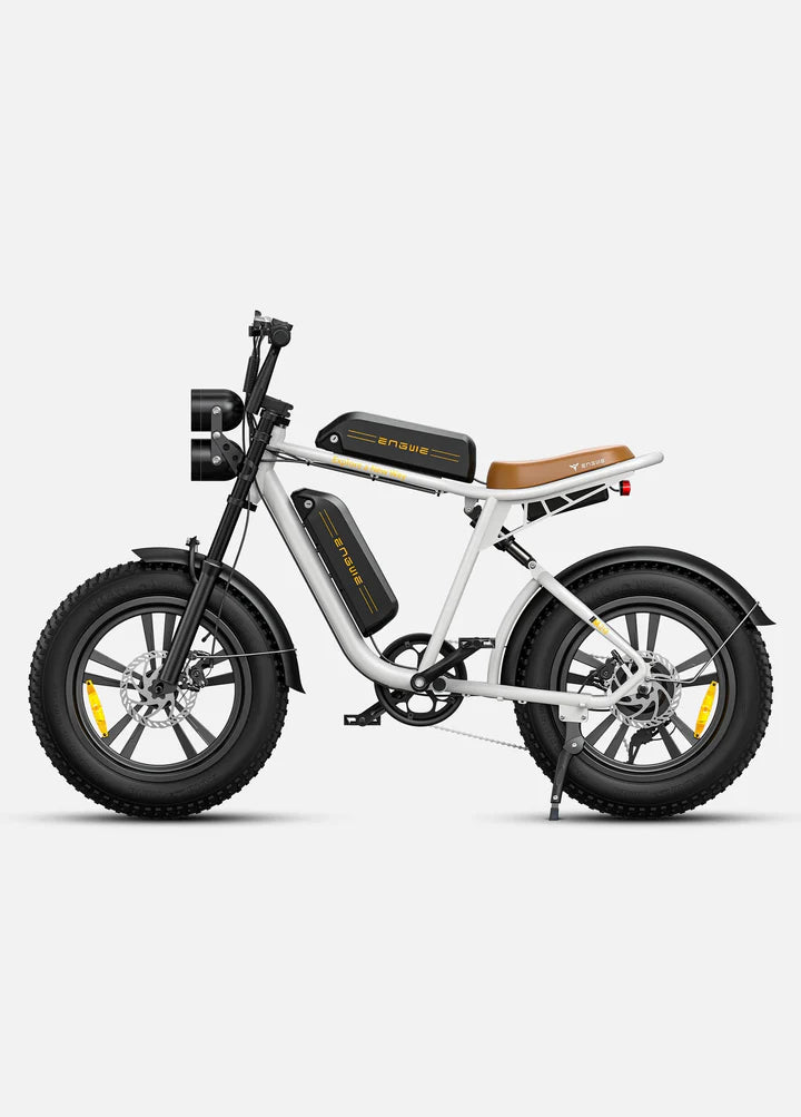 ENGWE M20 48V 13Ah/26Ah 750W All-Terrain Electric Bike