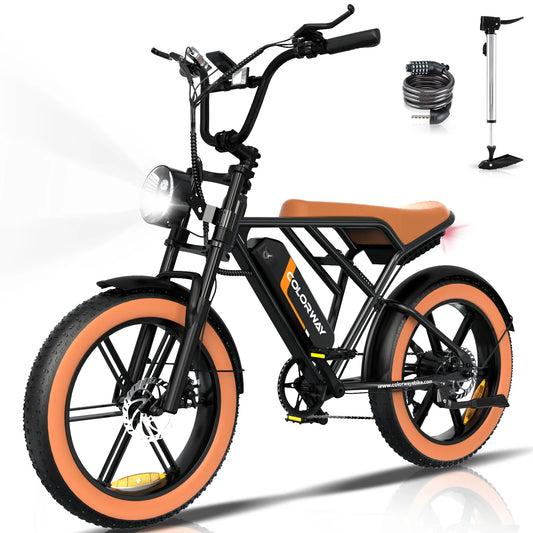 BK29 Ebike