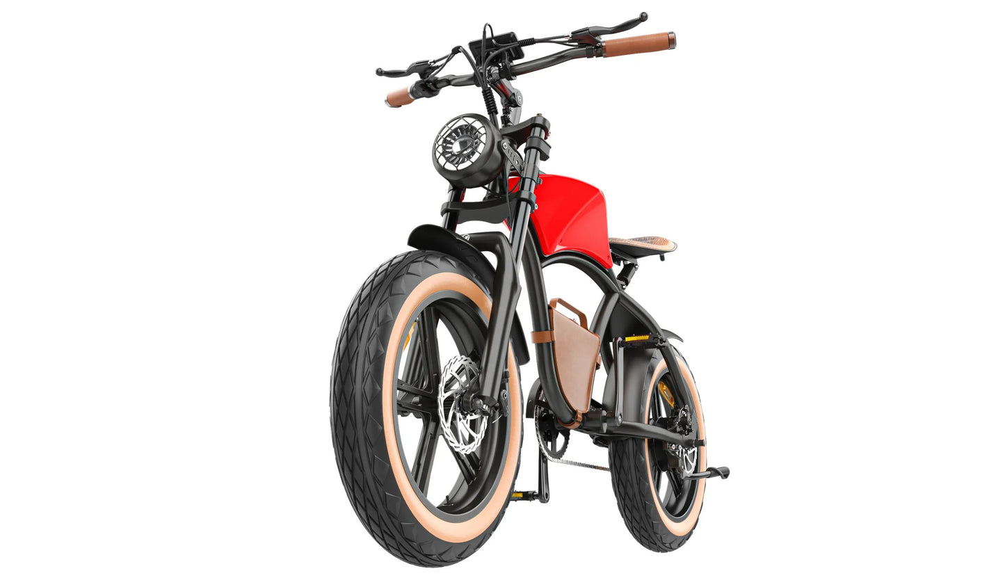 Hidoes B10 Electric Bike