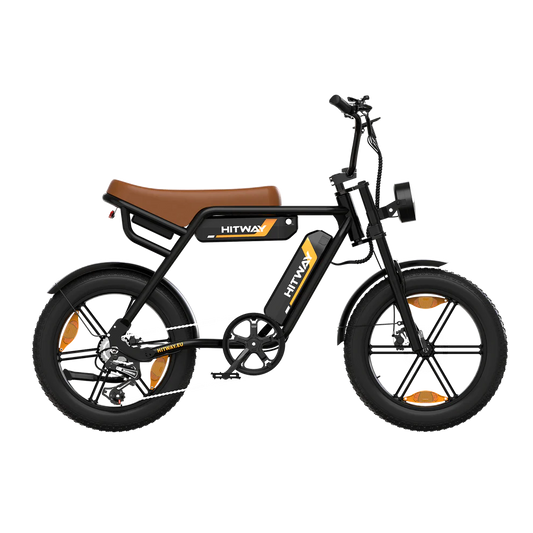 BK17 Dual Battery Electric Bike